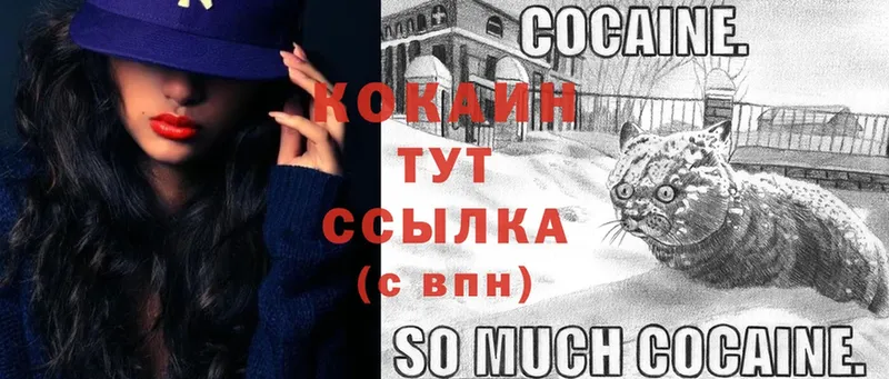 COCAIN Fish Scale  хочу   Новозыбков 