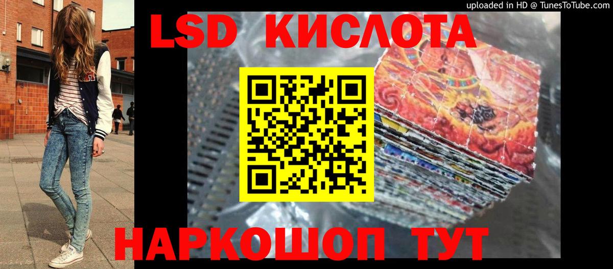 LSD-25 экстази ecstasy  Вход с VPN  Новозыбков  ЛСД экстази кислота 