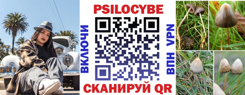 МЕГА зеркало  shop Telegram  Псилоцибиновые грибы Psilocybe  Новозыбков 