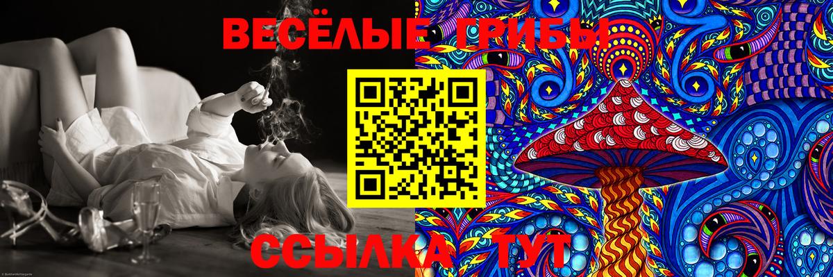 Псилоцибиновые грибы Psilocybe  Вход с VPN  сколько стоит  Новозыбков  Галлюциногенные грибы Magic Shrooms 